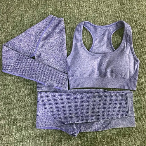 Yoga sets without color difference (11 colors) quick sell ebay Amazon in seamless long sleeve+bra+legging fitness sets