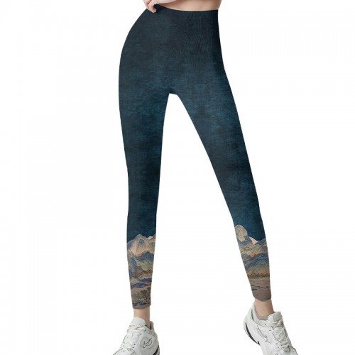  SEAMLESS  ch style yoga legging