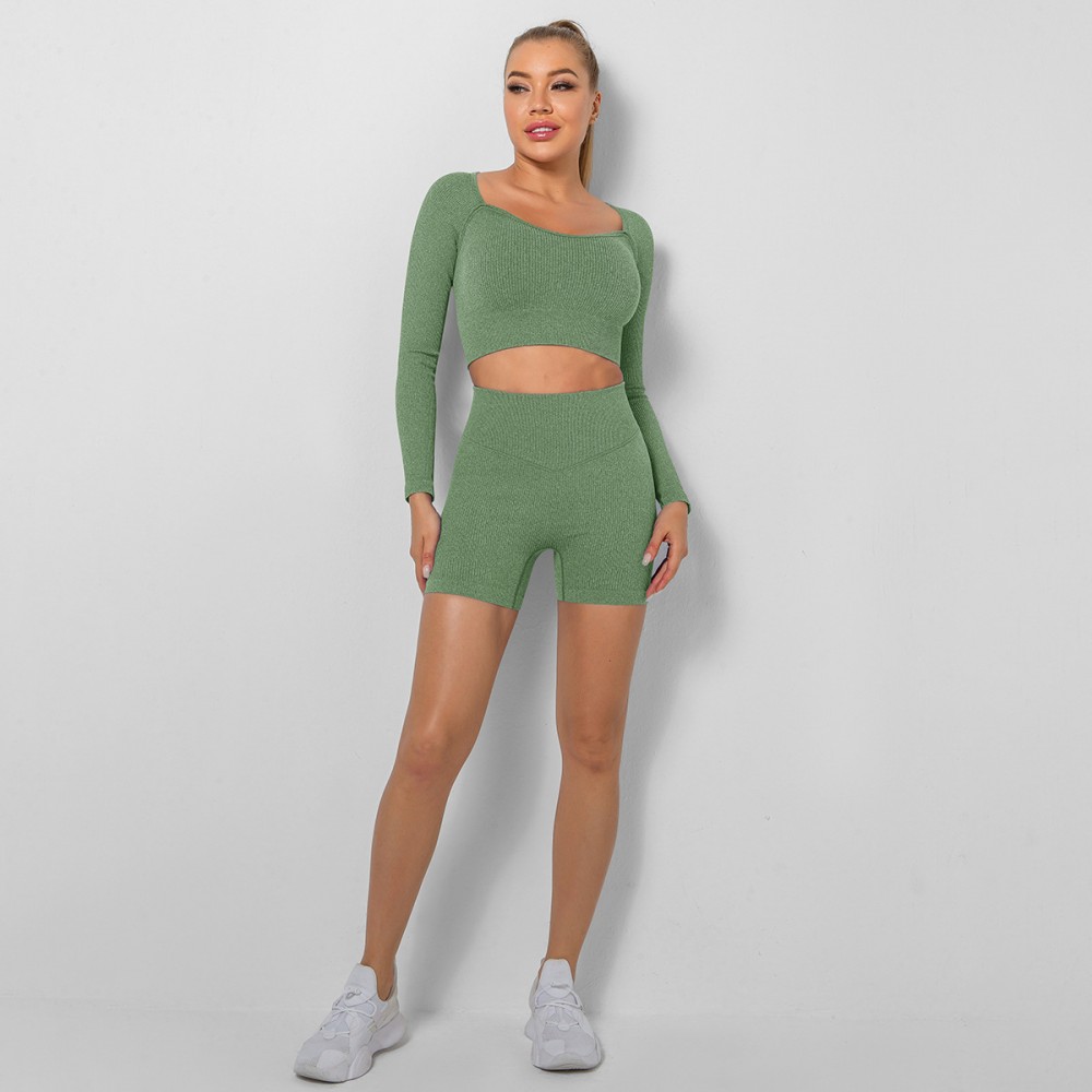  SEAMLESS  yoga long sleeve top +short set