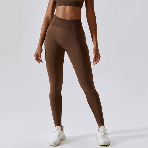 yoga set bra+legging